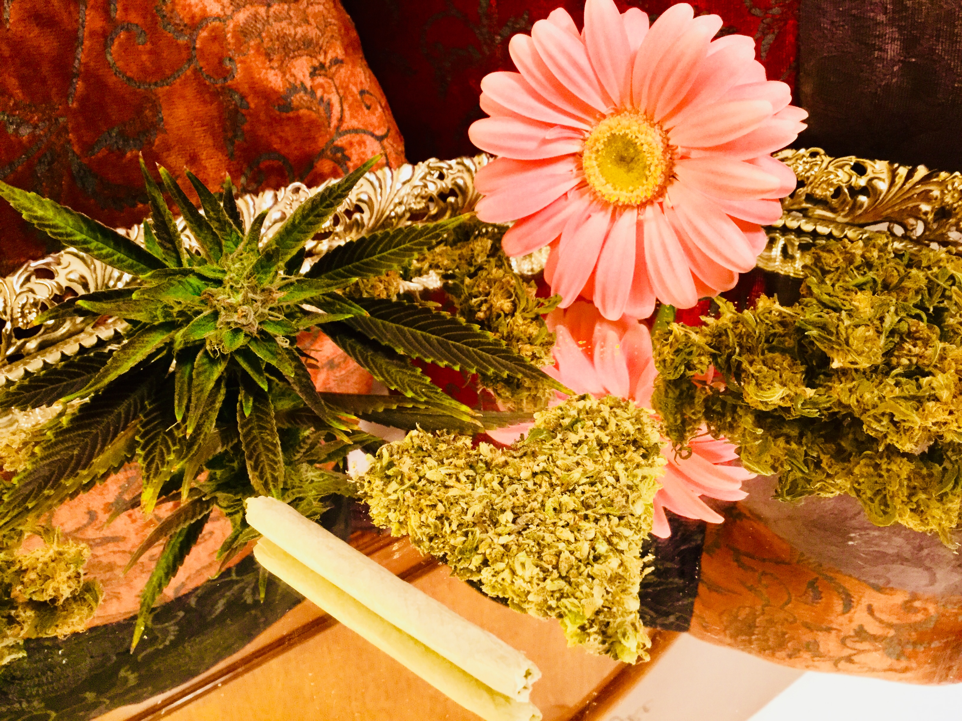 12758A75-018D-4287-B974-FE0D3E9FA394