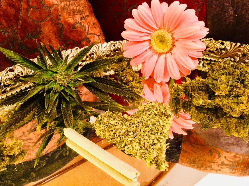 12758A75-018D-4287-B974-FE0D3E9FA394