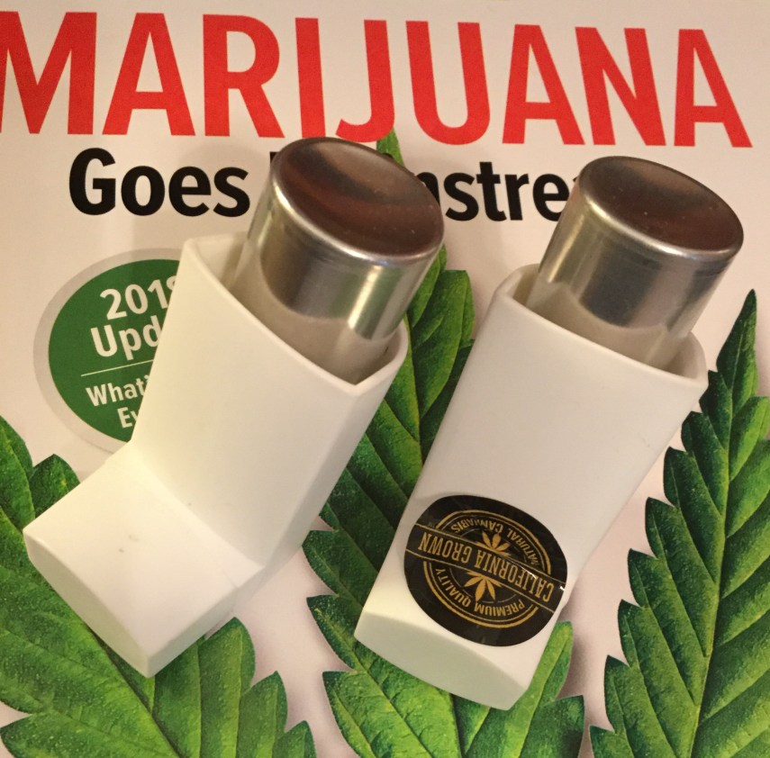 49EC9A4E-6D55-441D-847A-4E4B5BB6E9C4