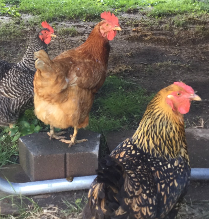 A466C725-4A1B-470D-ACBB-A250F21B4420